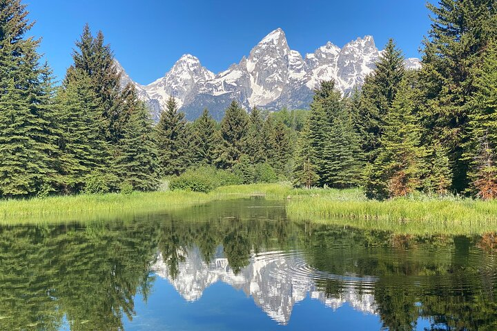 Private Full-Day Grand Teton National Park Tour with Picnic Lunch - Photo 1 of 8